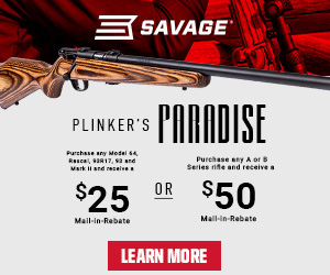 R14081_Plinkers Paradise_Digital_Web_300x250.jpg